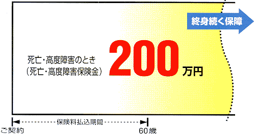 ���S����x��Q���F200���~