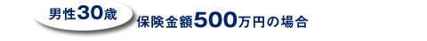 �j��30�� �ی����z500���~�̏ꍇ